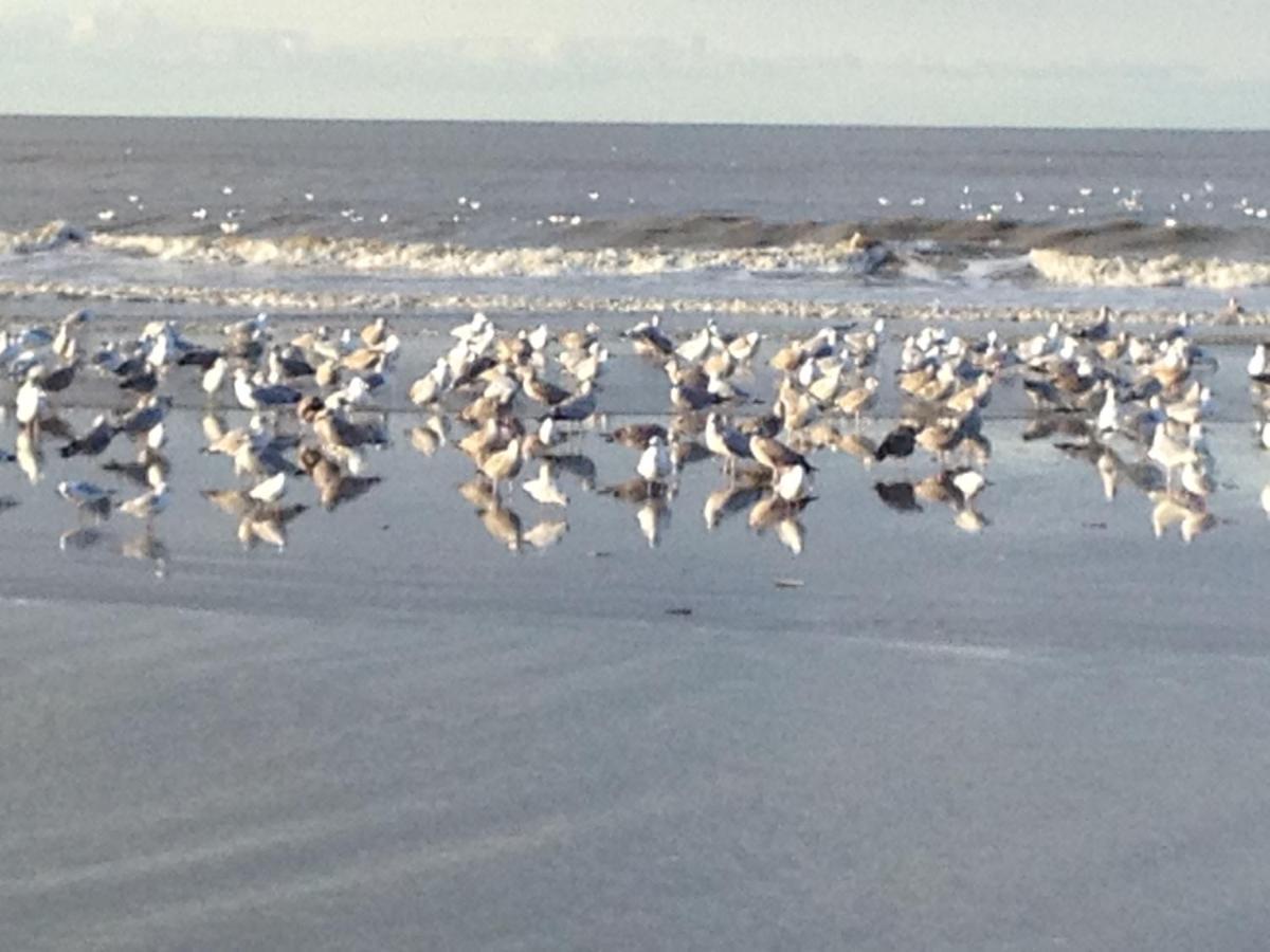 Strand En Meer Katwijk aan Zee Dış mekan fotoğraf